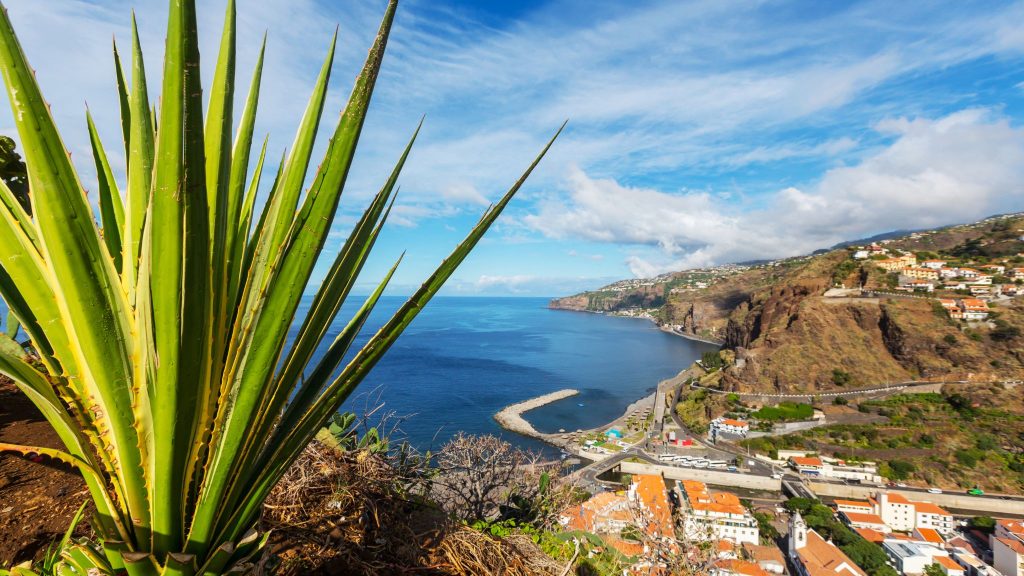 Portugal for Digital Nomads: The Ideal Destination for Remote Workers 3 Madeira digital nomads